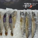 영광굴비
