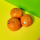 우리농수산직판장 이미지