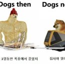 옛날 이미지
