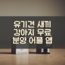 증평가정견훈련소 | 유기견 새끼 강아지 무료 분양 어플 앱