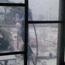 마루농장 이미지