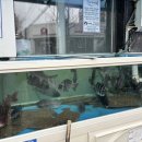 아침바다 2호점 이미지