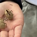 예인아이사랑어린이집 이미지