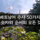 베트남어 수사 50가지: 숫자와 순서의 모든 것