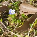 나를사랑하는글쓰기 이미지