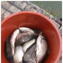 검은솔밭낚시터 이미지