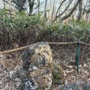 제주공항흑돼지칠본가 | <제주도 동쪽 2박3일 여행> DAY 2: 한라산 등반(뚜벅이 버스 | 김만복 김밥 | 제주공항흑돼지 칠본가)