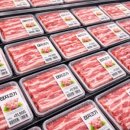 피드앤푸드 이미지