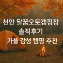 달꿈 오토캠핑장 이미지