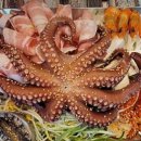 논산포차 이미지