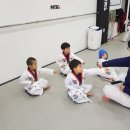 용인대 청목 mta 태권도 이미지