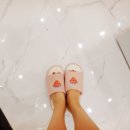 레푸스&엔젤라