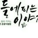 서수 푸른한우 이미지