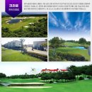 영일리무진 이미지