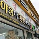 야옹아멍멍해봐 이미지