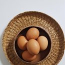 해리스짐 이미지