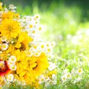 경희아침한의원 이미지