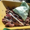 주형농장 이미지