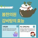 봄한의원 이미지