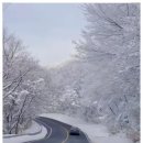 우리아이파크부동산공인중개사사무소 이미지