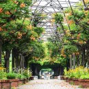 부천중앙공원 이미지