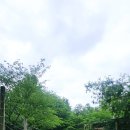 서울숲 생태숲 화장실 | 서울숲 비밀의 숲 후기 | 예약 방법부터 생태숲 탐방·사슴방사장 투어까지 총정리