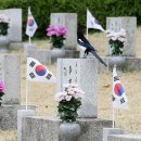 대한민국 - 산청군 남명로 227 | 대한민국