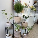 내서읍1352 | 내서꽃집 꽃작업소 셀프꽃다발 후기