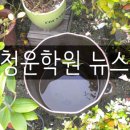 청운학원 이미지