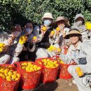 남원읍-72 이미지