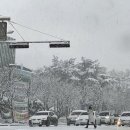 '군산 17.5㎝·한라산 14.5㎝' 눈 쌓인 겨울왕국…제주공항 결항 잇따라 이미지