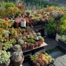 봉곡로24길-1 이미지