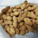 배영유치원 이미지