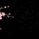 미미PC방 이미지