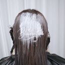 (주)에스와이에스리테일 기장점 | 2025 겨울 셀프염색 애쉬 퍼플 그레이 쿨톤 톤다운 라본느 염색약 추천