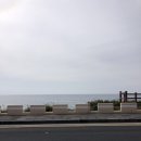 제주스테이대흘 이미지