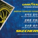 스케쳐스NC