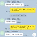 이정순헤어 | [WEDDING-제주스냅 #07] 제주스냅 프리랜서 헬퍼 "제주헬퍼하니" 추천 후기