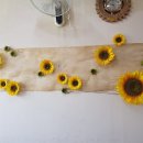 베토벤피아노사 이미지