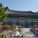 순천-79호 이미지