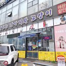 장보는 강아지와 고양이 의정부서부점 이미지