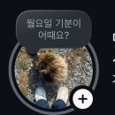 순아민속촌 | MD의 삶