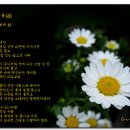 손*희