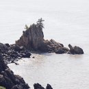 백수해안공원 Daum카페