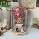 멜팅플레르