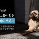 마이펫동물병원 이미지