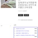 낭창한 강아지 이미지