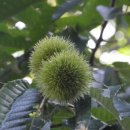 명암약수터 이미지