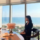 오션팔레드 이미지