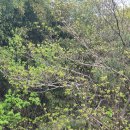 서울숲 수변휴게실 화장실 이미지